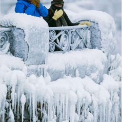 “عشاء ملوكي” في ليلة المأكولات البحرية بقصر الامارات