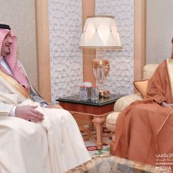 حملة تسّوق، تناول الطعام والعب، ستعيدك مرة أخرى طلباً للمزيد!