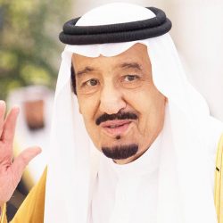 فنون الصخر في مدينة حائل أكبر متحف طبيعي في العالم