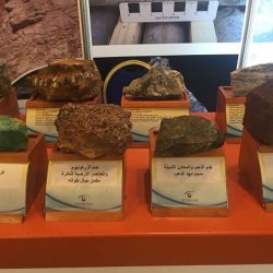 دراسة المخاطر الزلزالية تؤكد سيناريو احتمالية تعرض حرة الشاقة لهزات أرضية