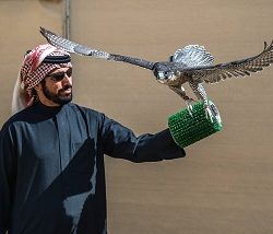 أحدث طيران اقتصادي بالمملكة يطلق اول رحلاته الى أبها