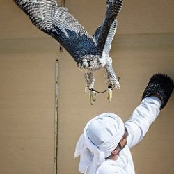 مؤسسة محمد بن راشد للمعرفة تطلق ورشة القصة القصيرة