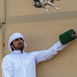 (850) ألف عضوية جديدة لفرسان “السعودية”وإجمالي الأعضاء يتجاوز (5) ملايين