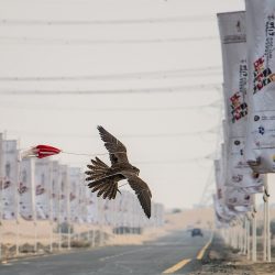 مدير جامعة جدة : نحمل شعار جامعة المستقبل ونوظف مخرجاتنا لخدمة سوق العمل