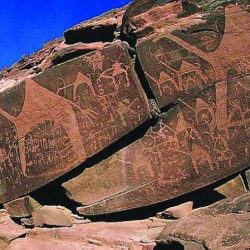 «سياحة أبوظبي» تحتفي بالابتكار بفعاليات ومبادرات متنوعة