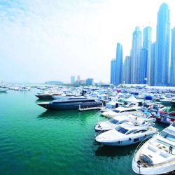 استراتيجيات «دبي الذكية» غيّرت مفهوم التحول الرقمي عالمياً