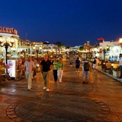 منظمو رحلات بلجيكيون: السياحة الثقافية المصرية محور اهتمامنا