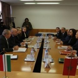 العالم يشرب الشاي من دبي