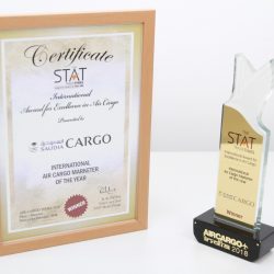 توافد نجوم أوروبا ودول الخليج إلى بطولة فزاع للغوص الحر “الحياري”