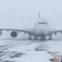 الشيخ حمدان بن زايد يأمر ببناء 410 مساكن في مدينة المرفأ