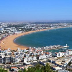 جودلفين تكتسح النسخة 23 بجدارة