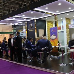 تعرفوا على مادو ورادا، فيلة حديقة الإمارات للحيوانات