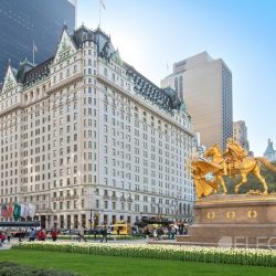 الشيخ محمد بن راشد يصدر مرسوم إنشاء المؤسّسات التابعة لـ«صحة دبي» وتحديد اختصاصاتها