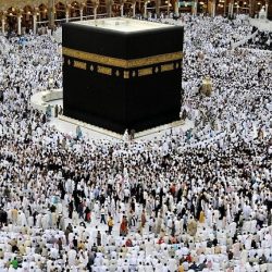 توقف موقعاً وتطبيقاً إلكترونياً وحسابات تروج لسلع مخالفة