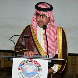 حماية اكثر من 4 مليون مهجّر وعلى رأسهم أكثر من 3.5 مليون سوري في تركيا