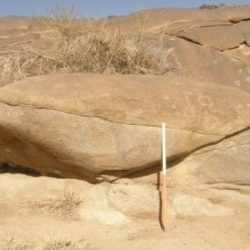 الطاحسي يبارك اختيارمعالي الدكتور بندر الرشيد سكرتيراً لسمو ولي العهد