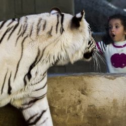 فندق “قصر الإمارات” يطلق مخيم الأطفال الصيفي
