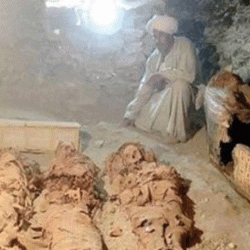 إماراتي ينال جائزة أفضل حكم في بطولة آسيا للتايكواندو بفيتنام