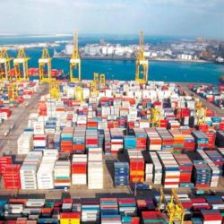 سلطان بن خليفة: أبطال الإمارات تميّزوا عالمياً