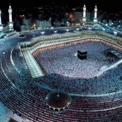 وزير الطاقة والصناعة السعودي يبحث مع وزير الطاقة بجنوب أفريقيا آفاق الاستثمار في البتروكيماويات والكهرباء