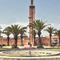 العسل الحر يجذب زوار المغرب