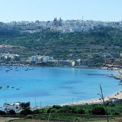 هوندير بطل «دولية لطيفة بنت منصور لخيول البوني»