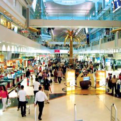 «سائقتي» تطبيق سعودي لتوصيل السيدات