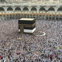 6.4 مليارات ريال معاشات التقاعد لشهر أغسطس