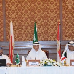 الأنشطة التي بدأ توطينها تعمل بانتظام ويديرها سعوديون