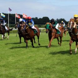 إدارة «دبا للثقافة والفنون والمسرح» تعقد اجتماعها الأول