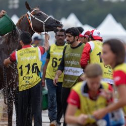 إجلاء وفد الإمارات المشارك في بطولة العالم للفروسية إلى اتلانتا