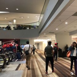 تشهد شواطئ جميرا عصر اليوم تظاهرة بحرية تراثية