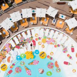 كروم العنب في لوزان .. سحر يستحق المشاهدة