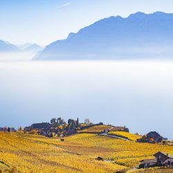 مركز حمدان بن محمد لإحياء التراث يناقش أجندة  إجتماع الدورة الـ 32 لاجتماع الأمانة العامة