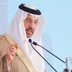 رفع علم الإمارات في القرية الأولمبية بجاكرتا اليوم