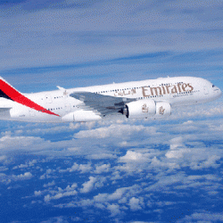 «موانئ دبي» تدشّن أولى مراحل تطوير ميناء بربرة