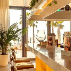 إقبال جماهيري كبير على سوق المزارعين في ديرفيلدز مول بأبوظبي