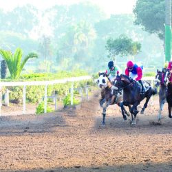الشيخ عبدالله بن زايد: الإمارات حريصة على عكس قيمة الفنون الإسلامية