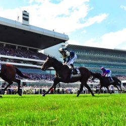 مهرجان الشيخ منصور بن زايد يكرم شركاء النجاح