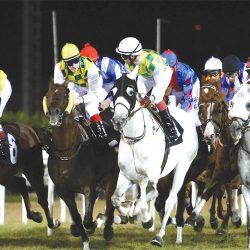 «درة الأزمان 2» يحتفي بزايد والوطن والعلم