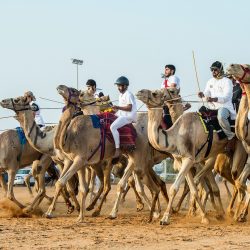 لزفاف من نسج الخيال بين رحاب سبا فندق “قصر الإمارات”