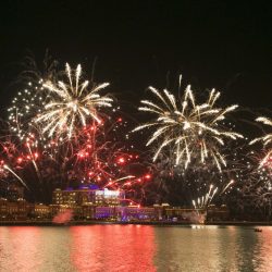 فندق وفلل بارك حياة أبو ظبي يحتفي بـ “شجرة العطاء”