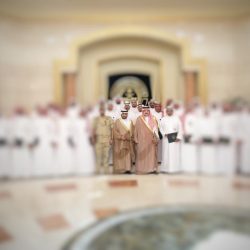 173 طيراً تشارك في منافسات ثالث أيام بطولة الشارقة للصقارين