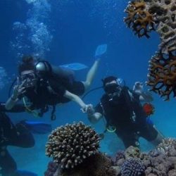 السفير الروماني لدى الإمارات: رومانيا تترأس الاتحاد الأوروبي  وتسعي لتعزيز  الامن والتحول الرقمي والقضاء على التمييز