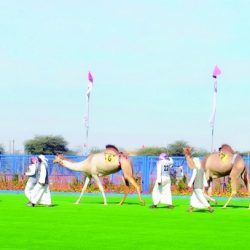 نقاشات وقرارات مهمة في مؤتمر«الكتّاب العرب» العام بأبوظبي