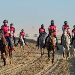 السياحة الثقافية في الإمارات.. نجاحات ملموسة و آفاق تطوير منتظرة