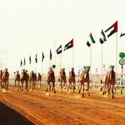 مصري ومغربي ضمن المتوّجين بجائزة الملك فيصل العالمية