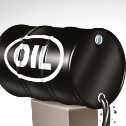 مهرجان الشيخ سلطان بن زايد التراثي ينطلق اليوم