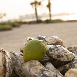 ريكسوس باب البحر يدعوكم لاستقبال العام الجديد بتجربة  استجمام مثالية لدى “أنجانا سبا”