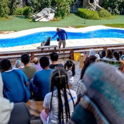 انطلاق أعمال المنتدى الاقتصادي العالمي في سويسرا